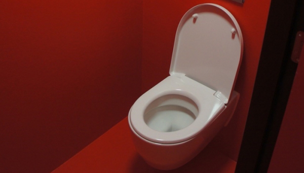 polyester wanden toilet